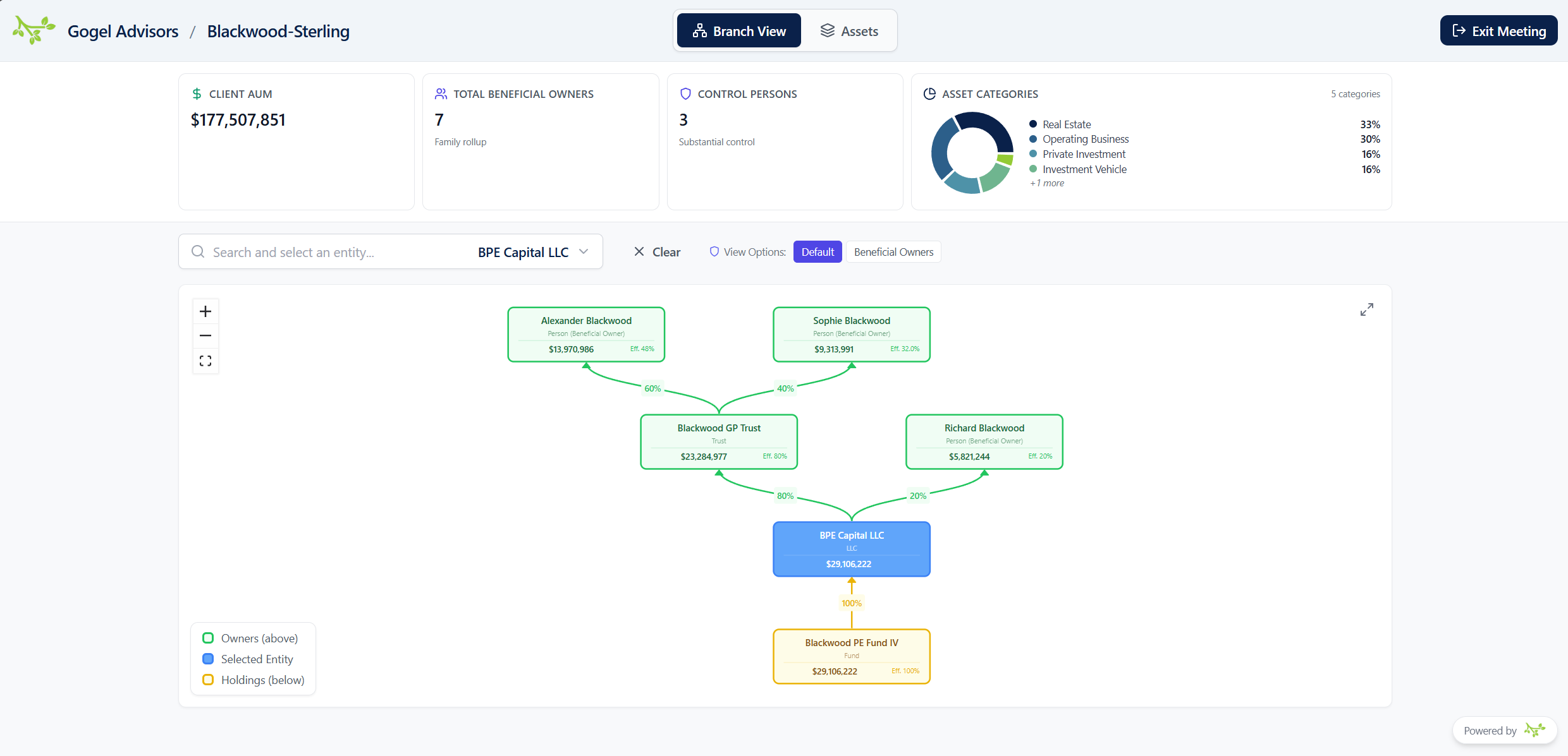 Meeting Mode — branch view of a family ownership structure